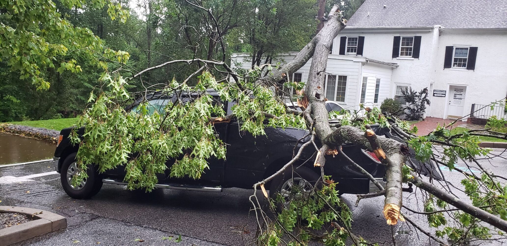 Tree down 080720